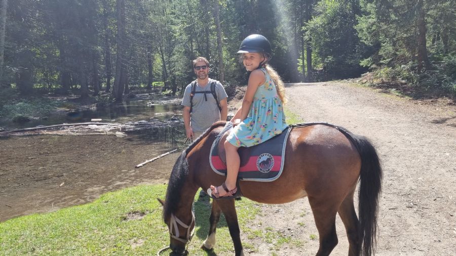 שאמוני והאלפים הצרפתיים